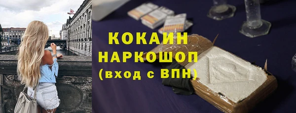 СК Кодинск