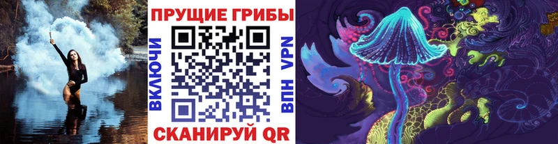 OMG зеркало Отрадная Псилоцибиновые грибы Psilocybine cubensis